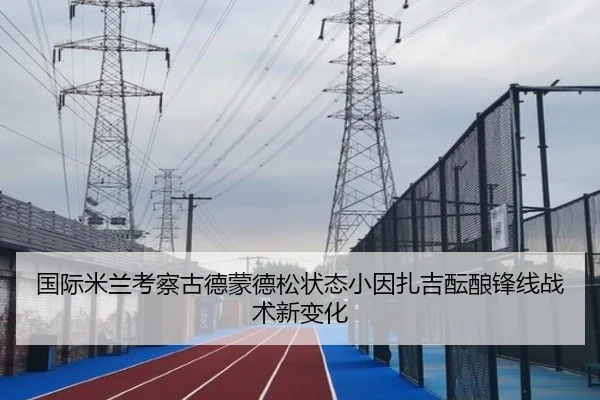 国际米兰考察古德蒙德松状态小因扎吉酝酿锋线战术新变化